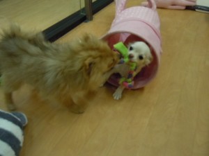 DSCN0389
