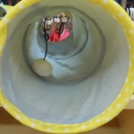 DSCN0401