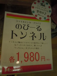 DSCN0404
