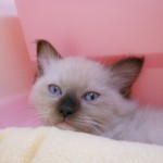 DSCN8551