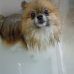 DSCN9708