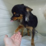 DSCN9831