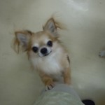 DSCN9843