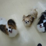 DSCN9854