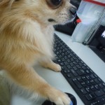 DSCN9863