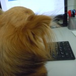DSCN9866