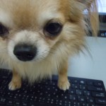 DSCN9869