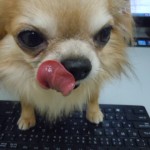 DSCN9870