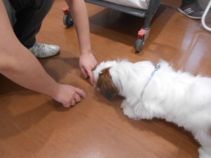 画像1 016
