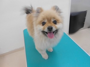 画像 001