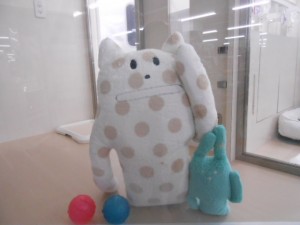 画像1 001