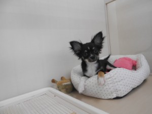 画像1 021