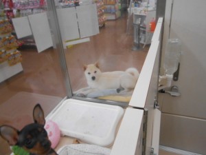 画像1 030