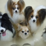 DSCN0083
