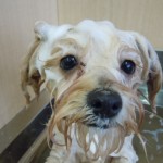 DSCN0793