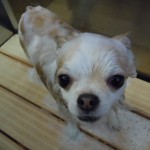 DSCN0809