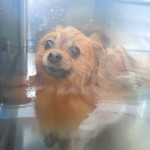 DSCN0947