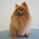 DSCN0961