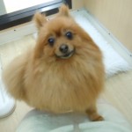 DSCN0962