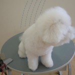 DSCN0969