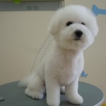 DSCN0977