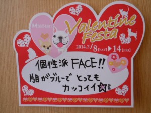 DSCN1026