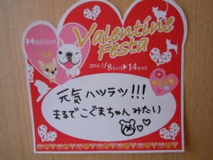 DSCN1029