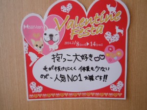 DSCN1030