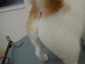 DSCN1377