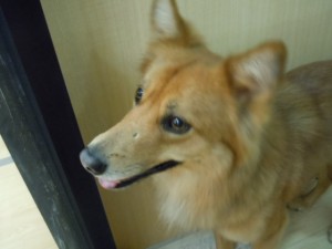 DSCN1402