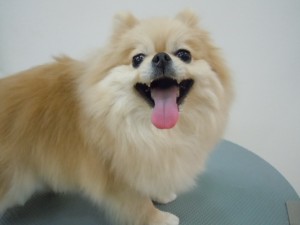 DSCN1519