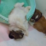 DSCN9743