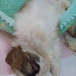DSCN9749