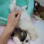 DSCN9755