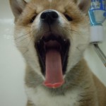 DSCN9866
