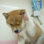 DSCN9868