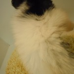 DSCN9878