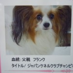 DSCN9882