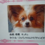 DSCN9883