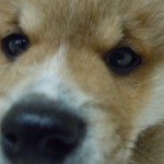 DSCN9888