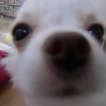CIMG0159