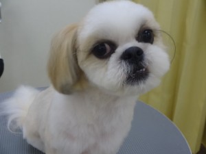 DSC02047