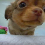 DSCN0095