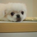 DSCN0395
