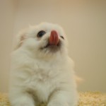 DSCN0407