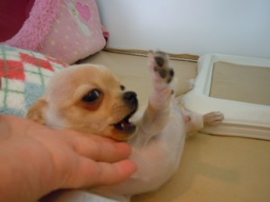 DSCN2537