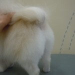 DSCN2587