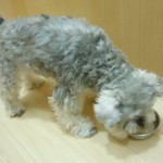 DSCN2693