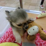 CIMG6396