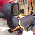 CIMG8574
